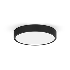 Surface mounted ceiling lights / Pendant lights
