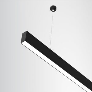2116.110 A/B/C/D